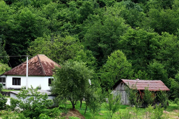 Landhäuser und Bäume — Stockfoto