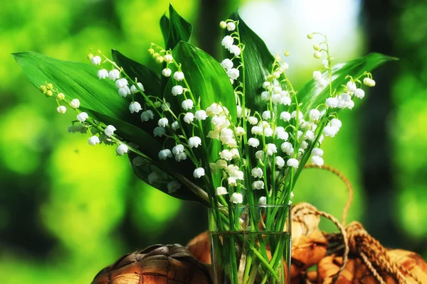 Lily of the valley flowers — Stock Photo, Image