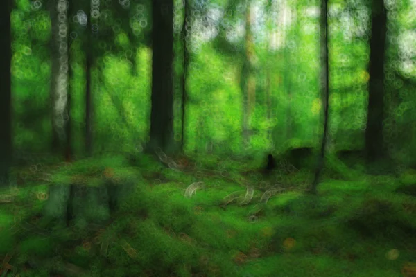 Verde bosque de abeto de verano —  Fotos de Stock
