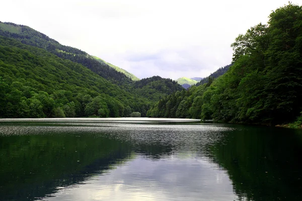 Orman manzara ile göl — Stok fotoğraf