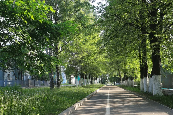 Stad parklandschap — Stockfoto