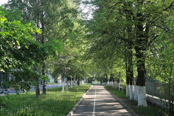 Parque da cidade paisagem — Fotografia de Stock