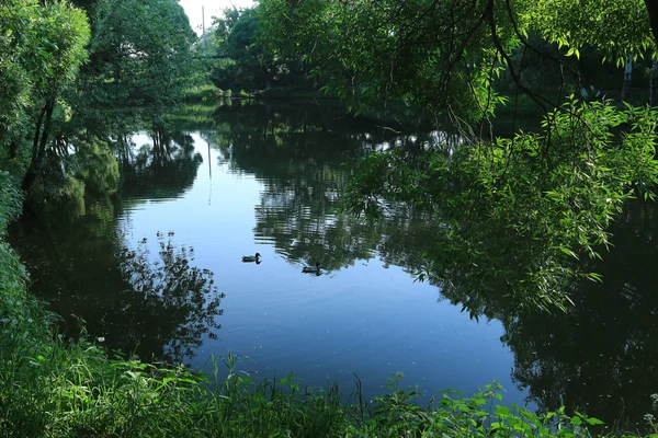 Sommar stadspark — Stockfoto