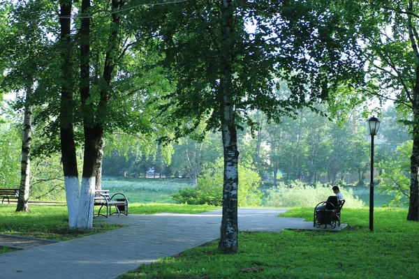 Stadtpark im Sommer — Stockfoto
