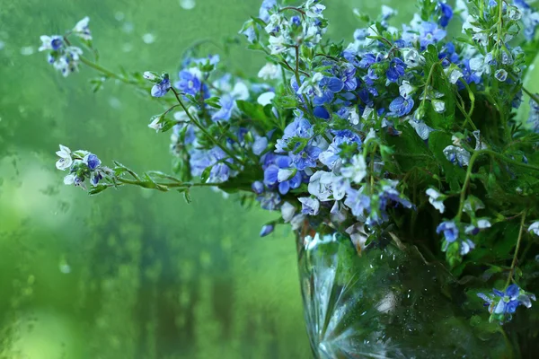 Bright colorful flowers in vase — Stock Photo, Image