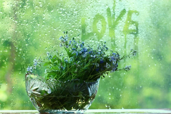 Cam vazo içinde parlak renkli çiçek — Stok fotoğraf