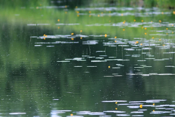 湖と夏の風景 — ストック写真