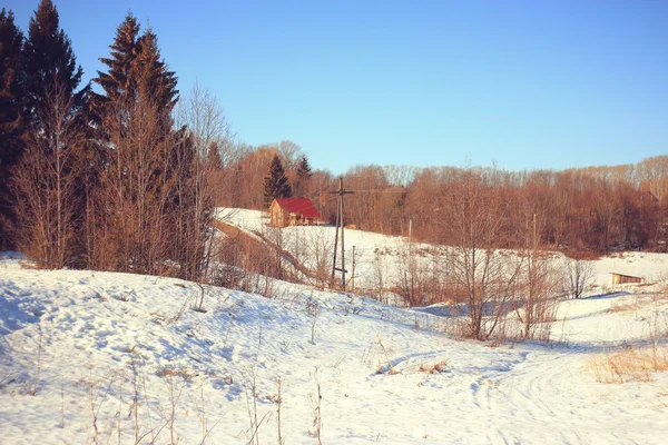 Inverno paisagem florestal — Fotografia de Stock