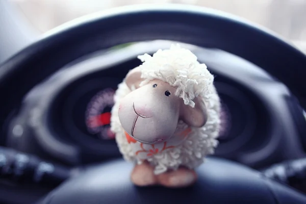Zabawka owiec w samochodzie — Zdjęcie stockowe