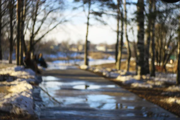 Niewyraźne wiosna park — Zdjęcie stockowe