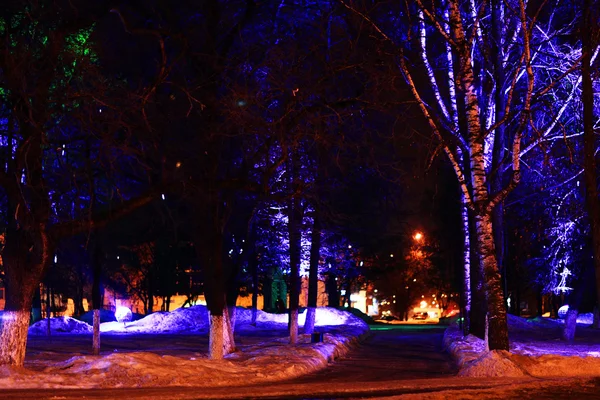 Iluminação guirlandas em árvores — Fotografia de Stock