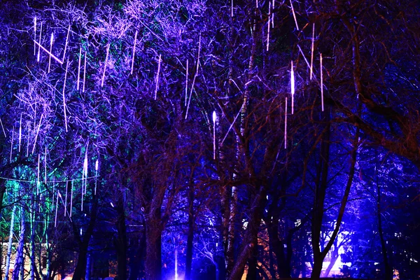 Girlandy oświetlenie na drzewach — Zdjęcie stockowe