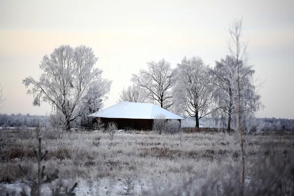 Paesaggio forestale invernale con casa — Foto Stock