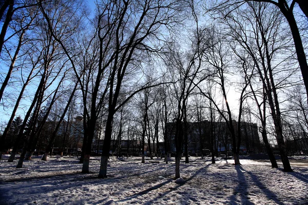 Зимний лес с домом — стоковое фото