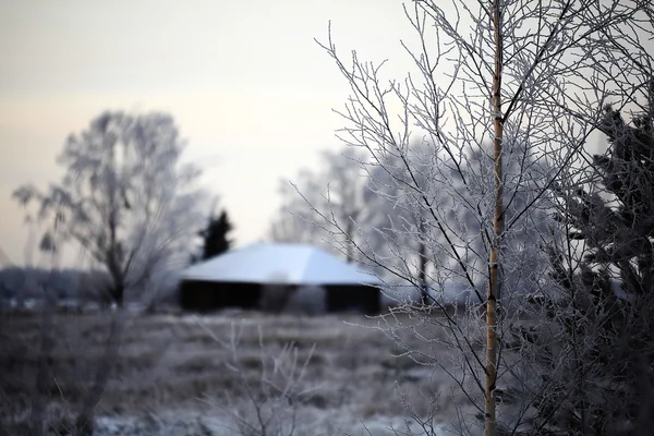 Paesaggio forestale invernale con casa — Foto Stock