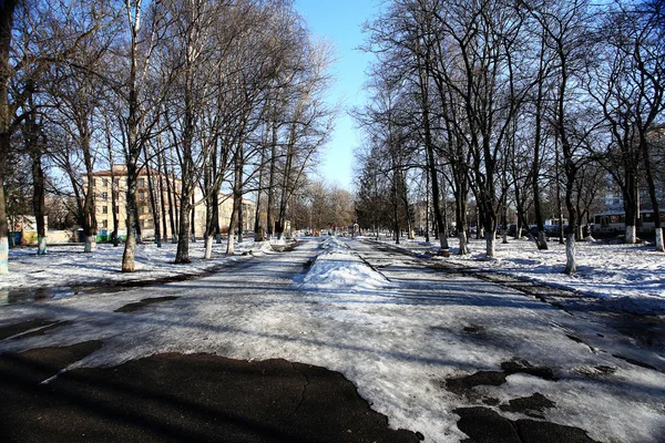 Зимовий лісовий пейзаж з будинком — стокове фото