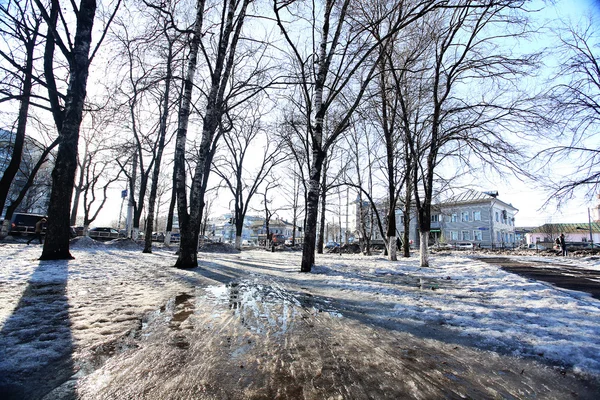 Bosque de invierno paisaje — Foto de Stock