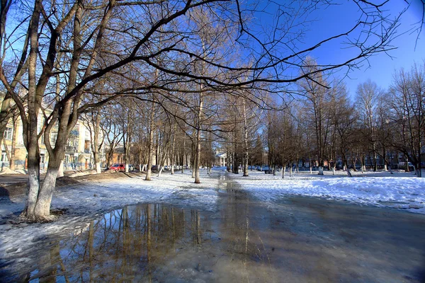 Городской парк весной — стоковое фото