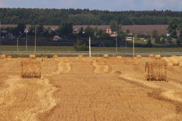 Szénabálák a mezőn — Stock Fotó