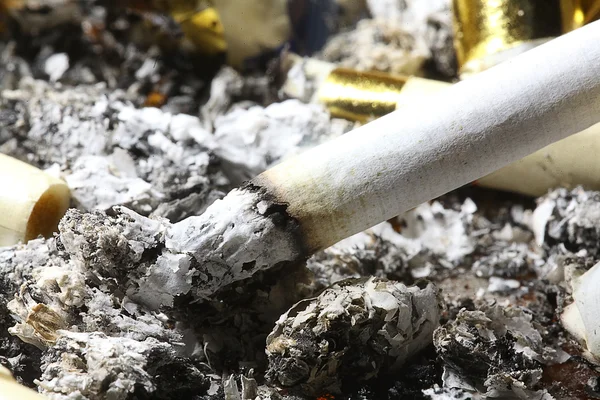 Cigarette butts in the ashtray — Stock Photo, Image