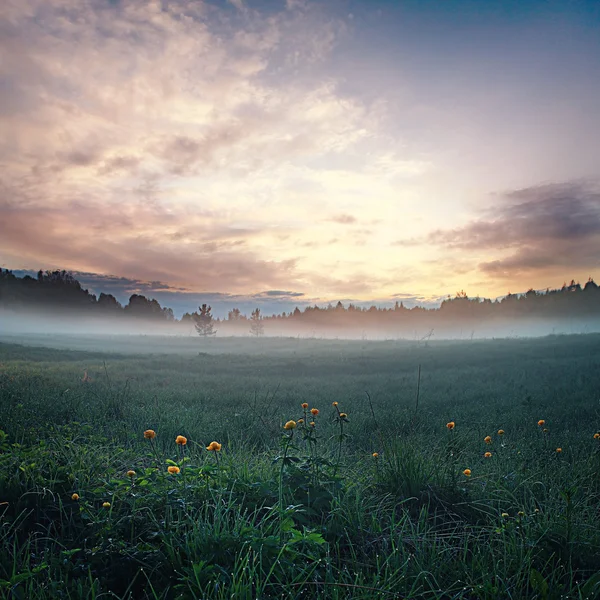 Atardecer verano paisaje —  Fotos de Stock