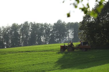 Sisin içinde dağ manzarası