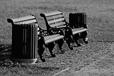 Park bankları, sonbahar kentsel peyzaj