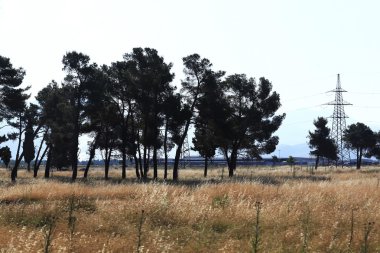 Peyzaj sonbahar çayırlar