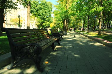 Park ağaç sokak