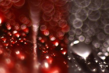 su damlaları arka plan bulanıklık