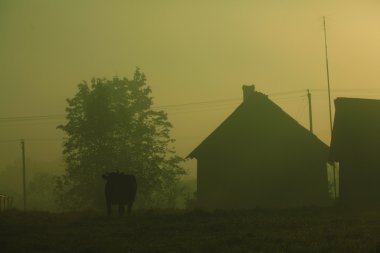 yaz günbatımı manzara