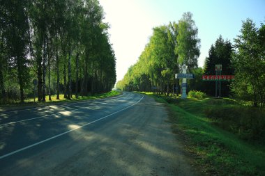 Sonbahar ormanında yol