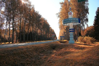 Sonbahar ormanında yol