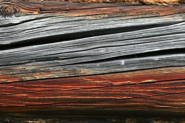 Старая текстура дерева — стоковое фото