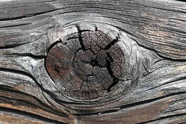 Eski ağaç doku — Stok fotoğraf