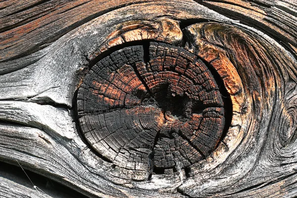 Ahşap doku eski ağaç — Stok fotoğraf