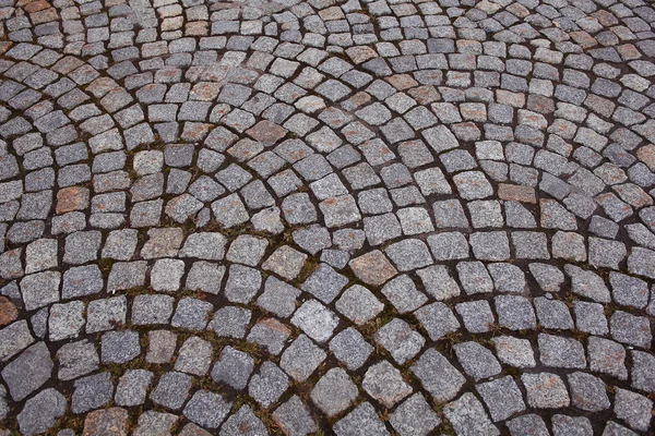 Texture of the stone pavement — Stock Photo, Image