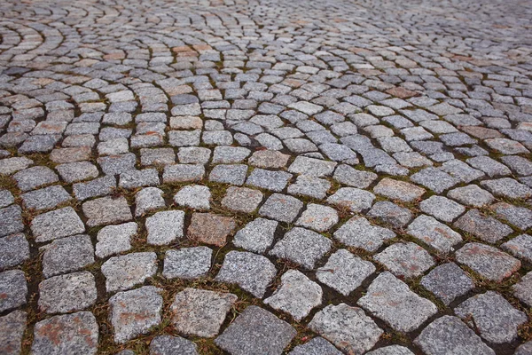 Texture of the stone pavement — Stock Photo, Image