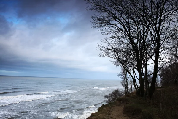 Sea coast autumn landscape — Stock Photo, Image