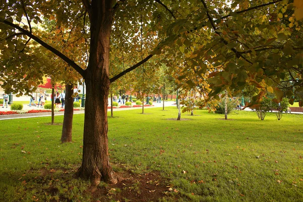 City park krajobrazowy — Zdjęcie stockowe