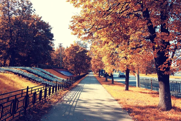 街の公園の秋 — ストック写真