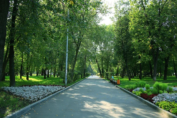 Парк с аллеей деревьев — стоковое фото