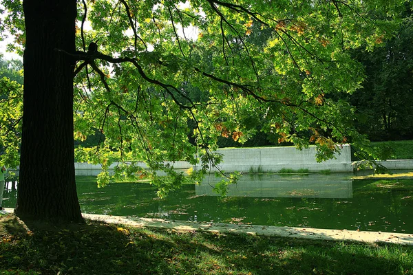 Summer in the city park — Stock Photo, Image