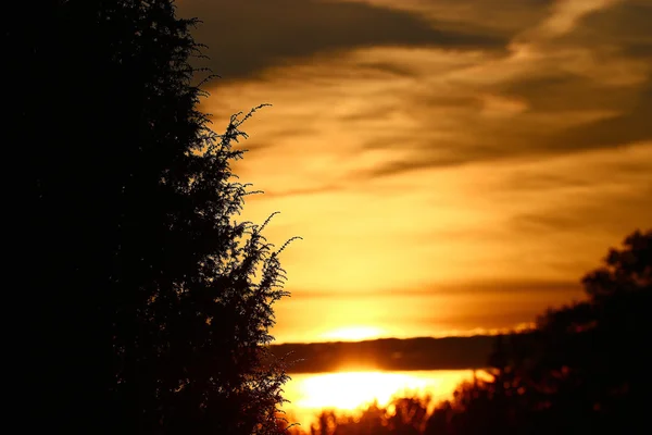 Lesní krajina při západu slunce — Stock fotografie