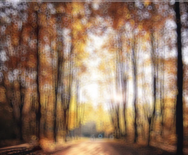 Onscherpe achtergrond van herfst bos — Stockfoto