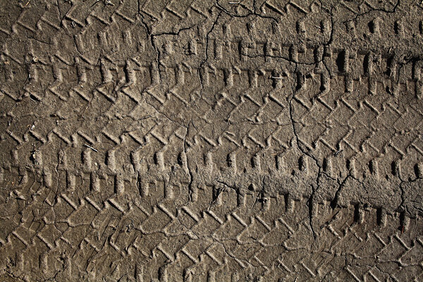 Текстура следов шин
