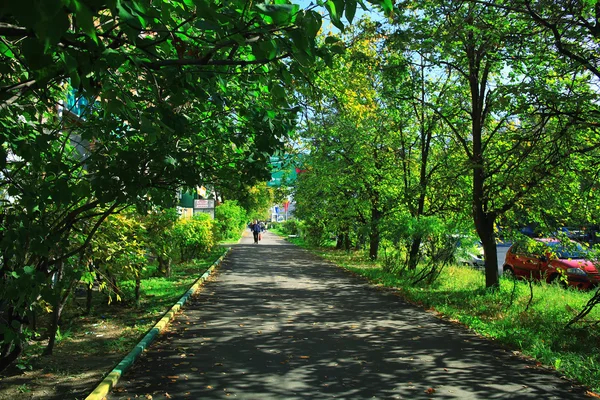 都市公園の風景 — ストック写真