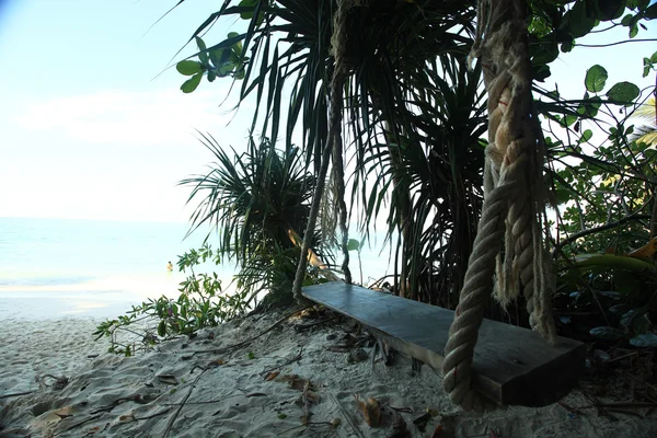 Jungle on a beautiful island — Stock Photo, Image