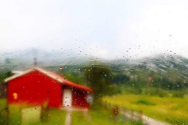 Árboles de paisaje en la naturaleza — Foto de Stock