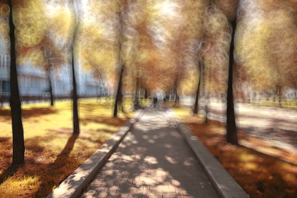 Onscherpe achtergrond bomen — Stockfoto